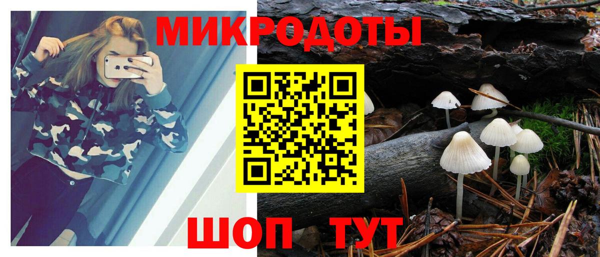 Псилоцибиновые грибы MAGIC MUSHROOMS  Вход с VPN  Кострома 