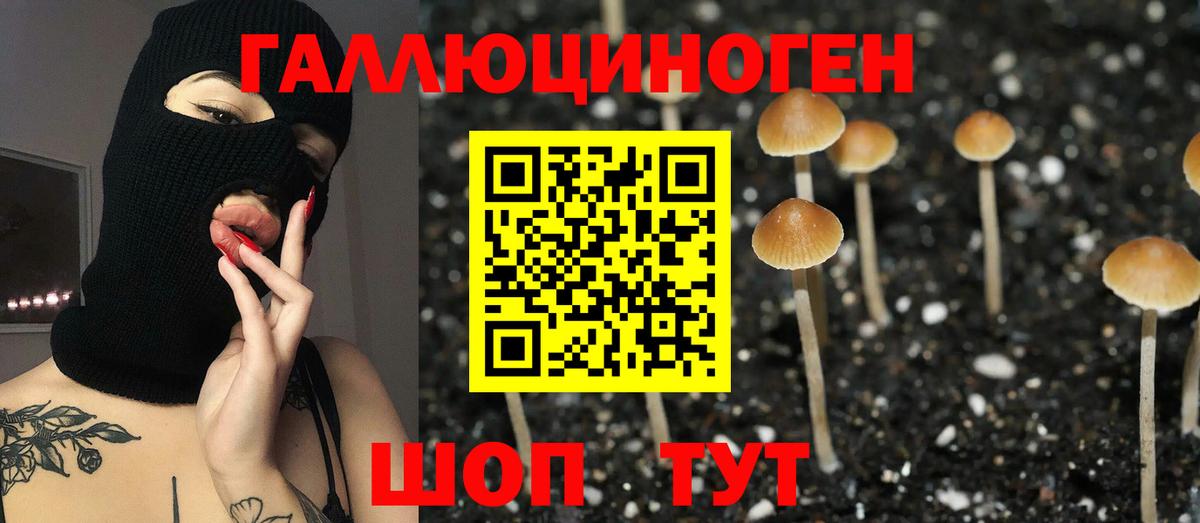 Псилоцибиновые грибы Magic Shrooms Кострома